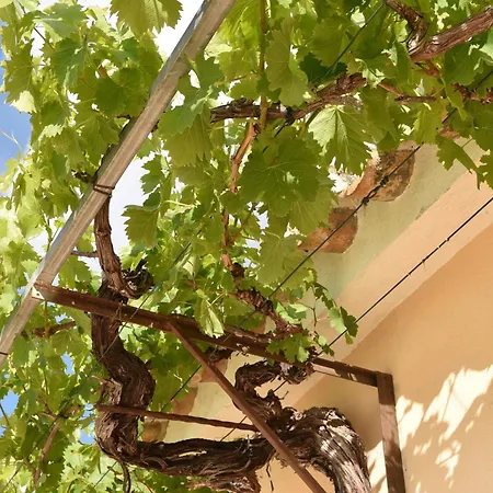 Villa Karma Senija